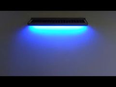 Wall and ceiling light